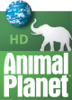 Animal Planet
